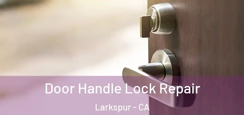  Door Handle Lock Repair Larkspur - CA