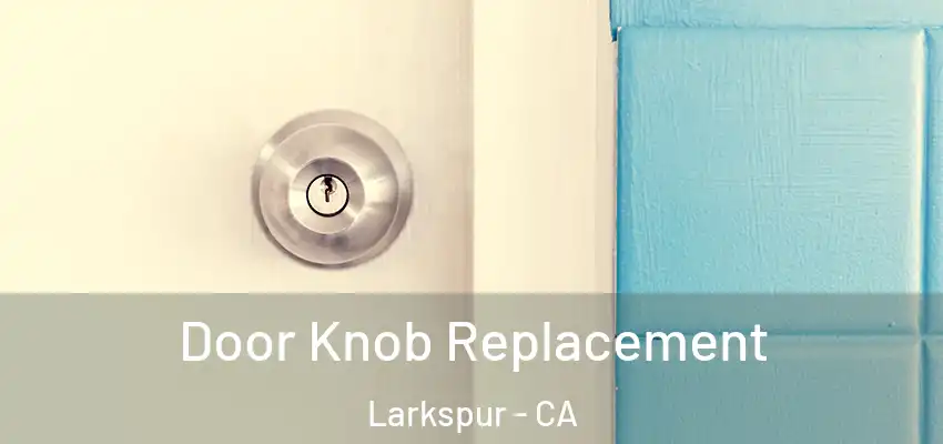  Door Knob Replacement Larkspur - CA
