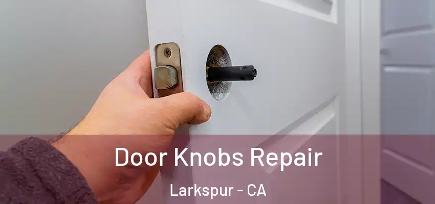  Door Knobs Repair Larkspur - CA