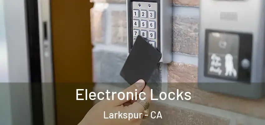  Electronic Locks Larkspur - CA