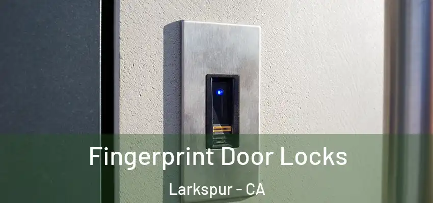  Fingerprint Door Locks Larkspur - CA
