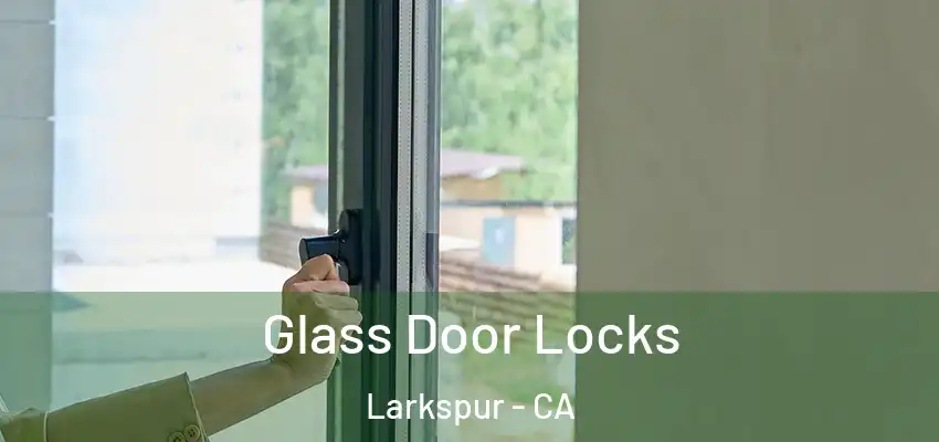  Glass Door Locks Larkspur - CA