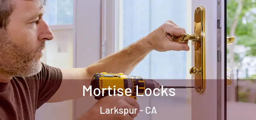  Mortise Locks Larkspur - CA